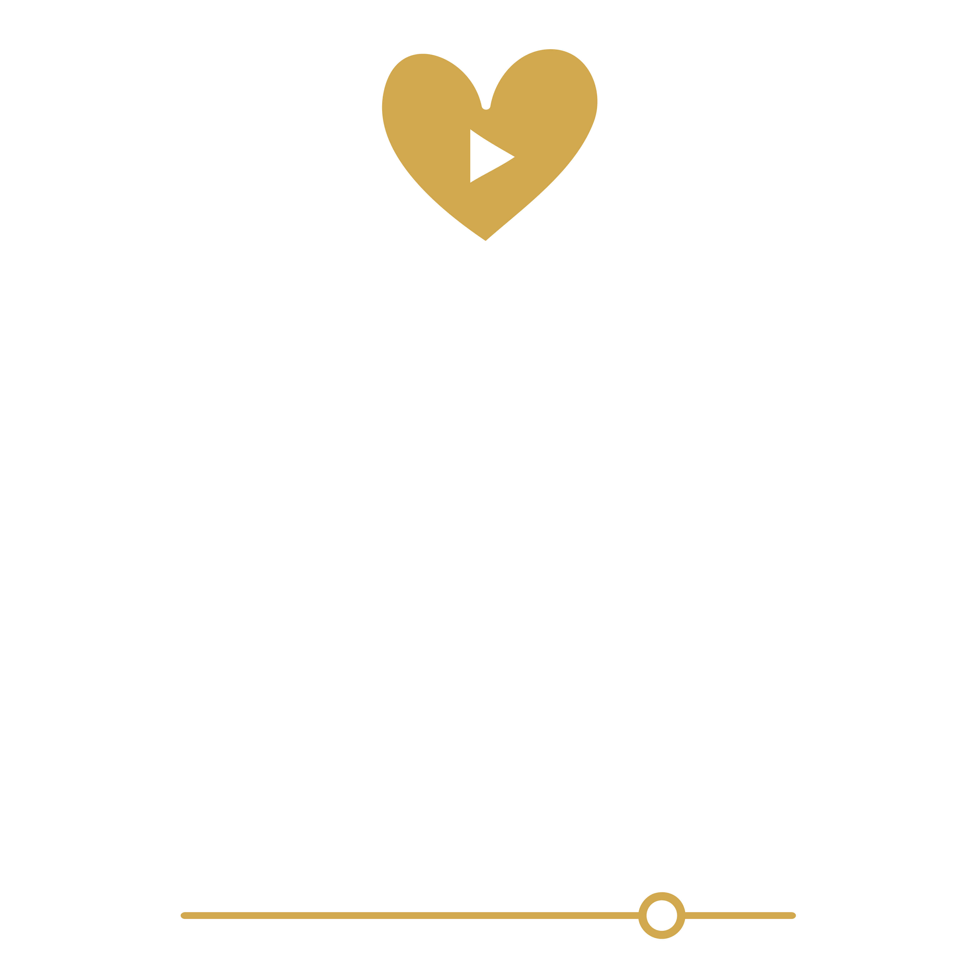 Vlog Visuals